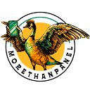 MoreThanPanel logo